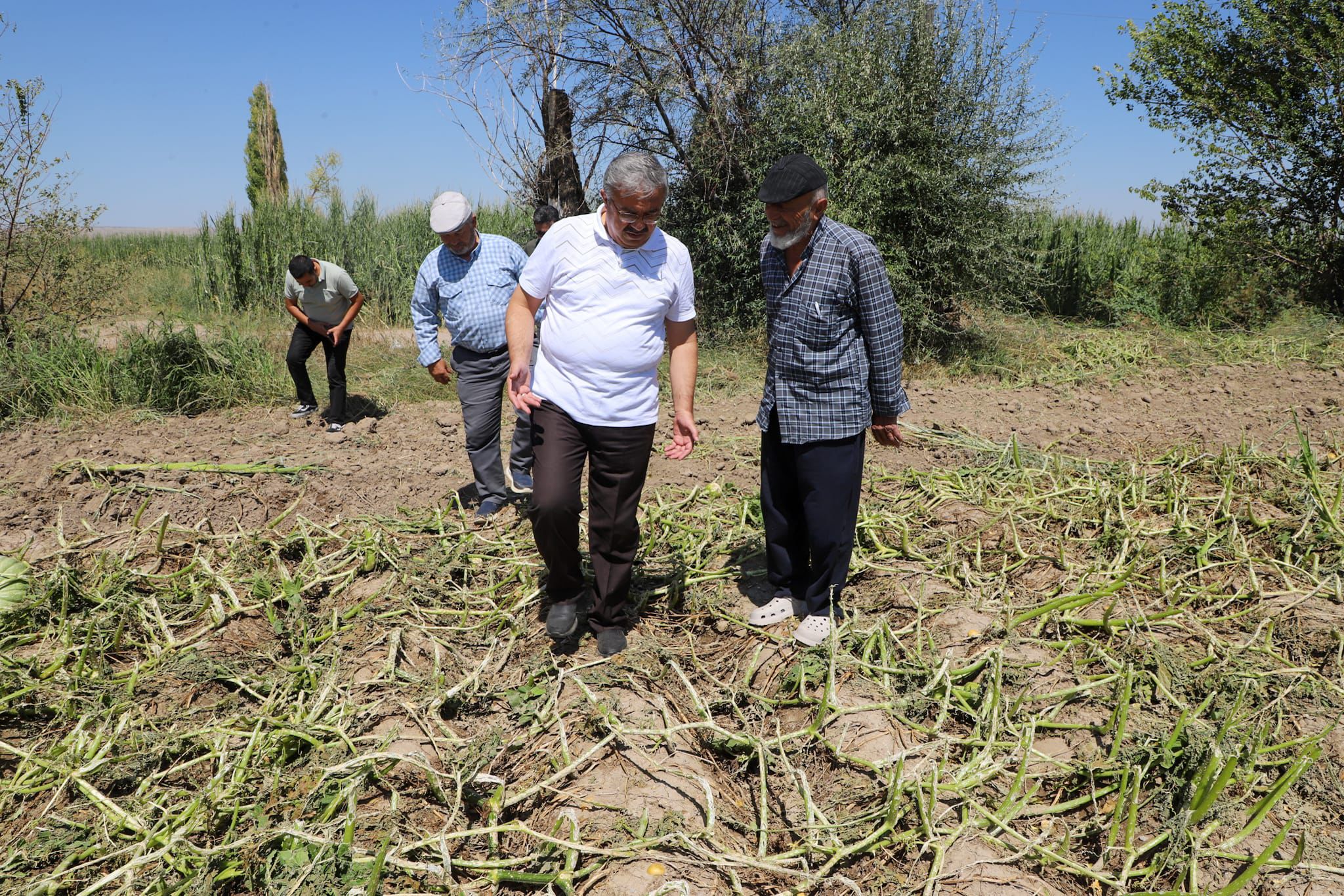 Afyon Milletvekili Yurdunuseven Zarar Gören Tarım Arazilerini İnceledi